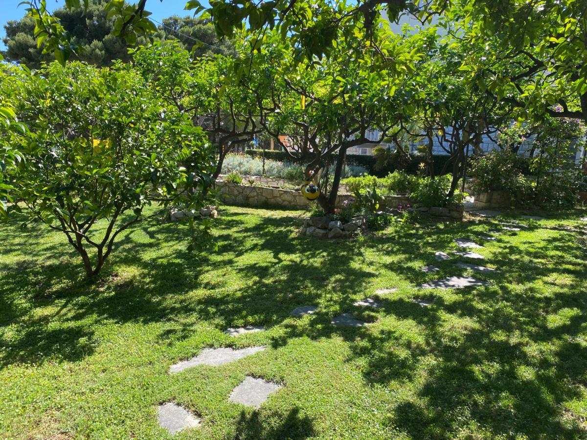 Terrace Apartment Hvar Town Zewnętrze zdjęcie